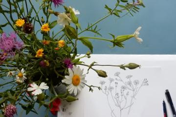 In to drawing wild flowers